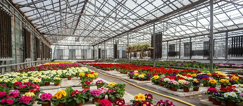 Smart greenhouse environment control