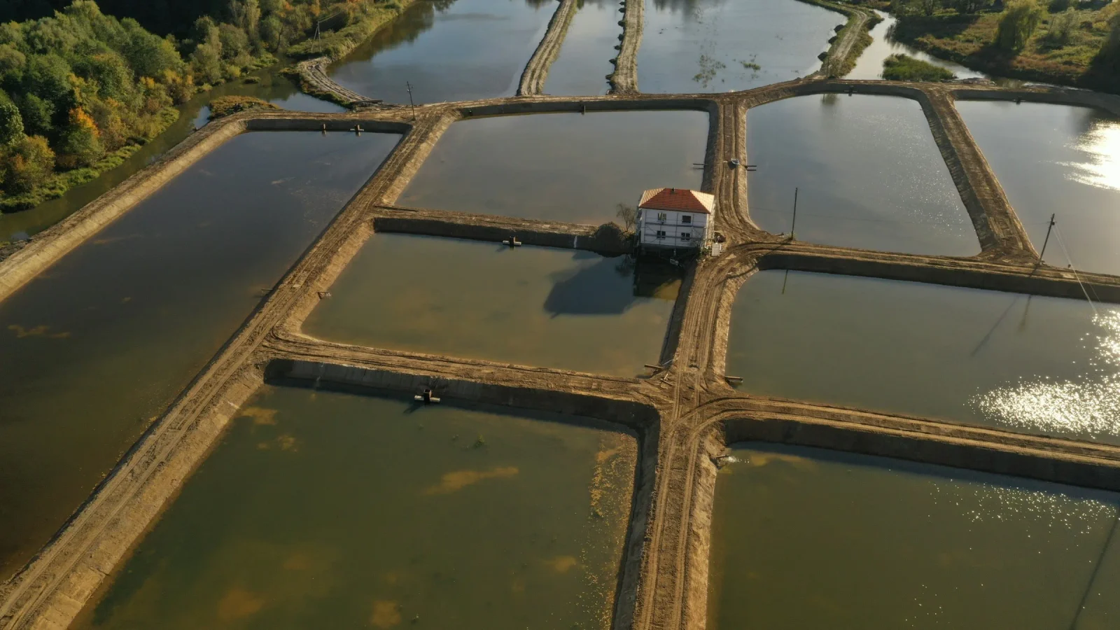 Aquaculture pond monitoring and control