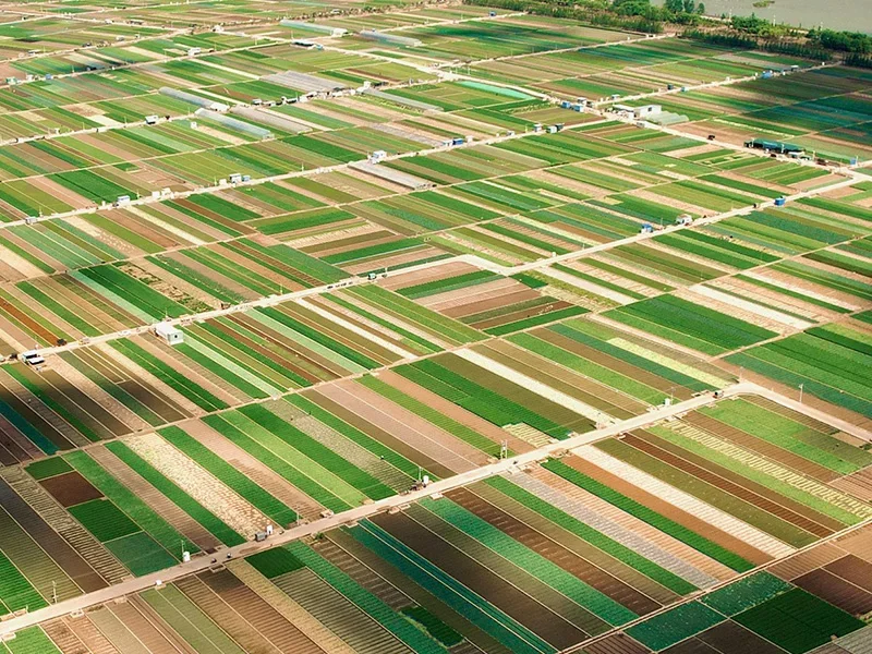 Irrigation field and water-delivery equipment
